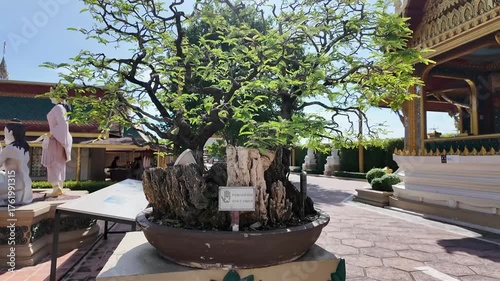 Ornate Thai Pavilion Architecture