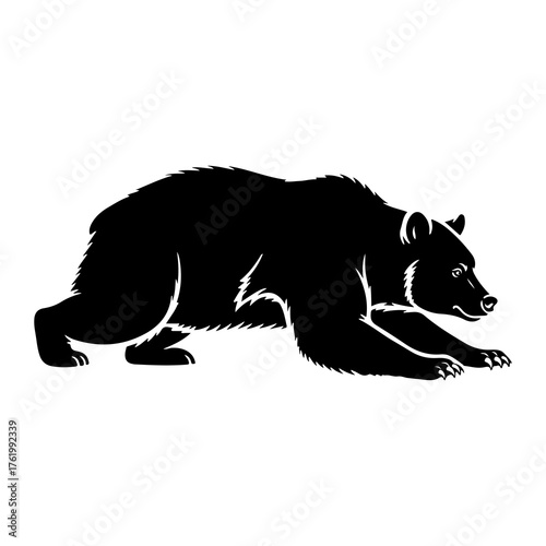 Black bear crawling low animal mammal