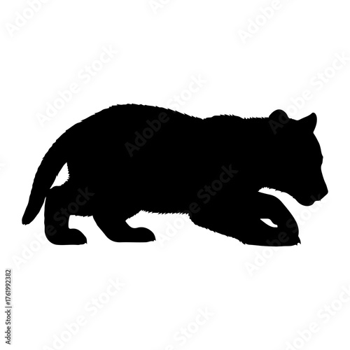 Black bear cub walking silhouette animal