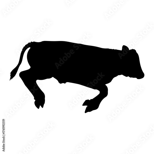 Black bovine silhouette in motion calf animal