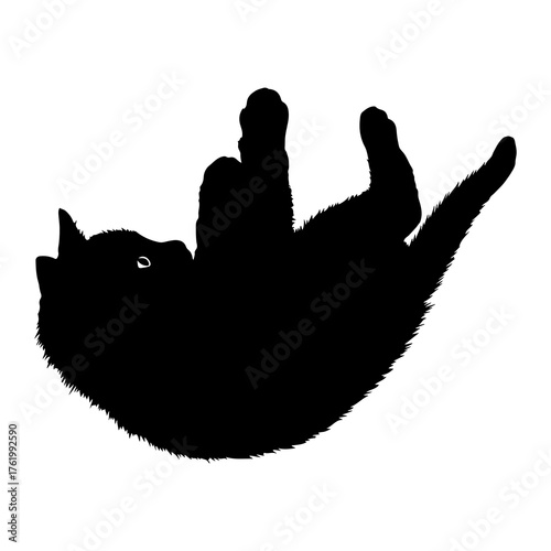 Black cat silhouette playing upside down kitten playful