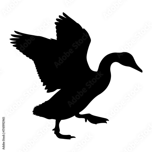 Black duck wings spread mid flight bird silhouette