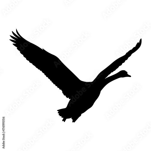 Black goose flying wing spread bird wings