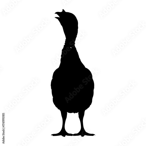 Black goose silhouette calling out bird white