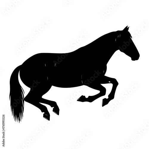Black horse galloping across white silhouette running