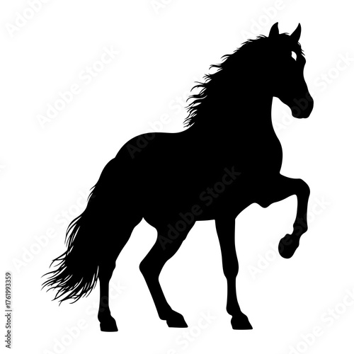 Black horse rearing on white background silhouette