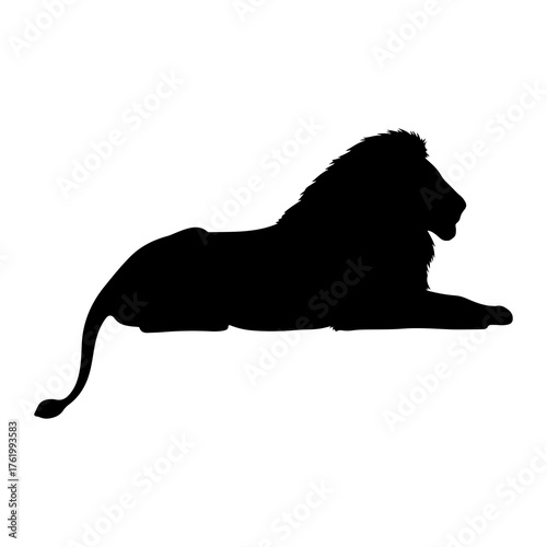 Black lion silhouette resting animal mammal