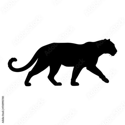 Black panther walking side profile big cat feline