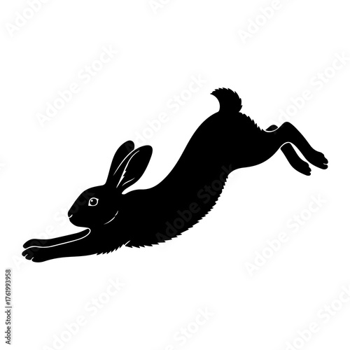 Black rabbit leaping dynamic motion hare jumping