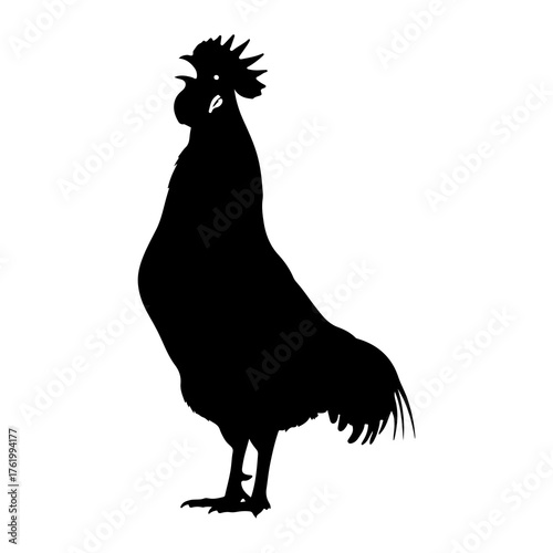 Black rooster silhouette standing alert white background