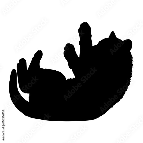 Black silhouette of a playful bear cub white background