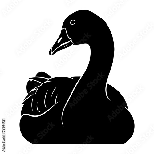 Black swan silhouette resting bird waterbird