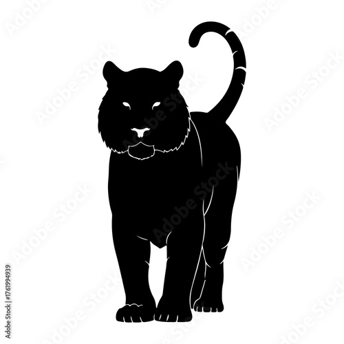 Black tiger standing front view silhouette animal