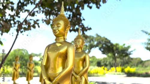 Golden Buddha Statues in a Garden