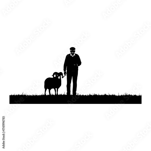 Man and ram on grass sheep animal
