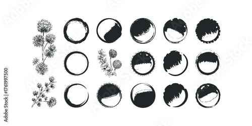 Textured ink circles and botanical branch collection