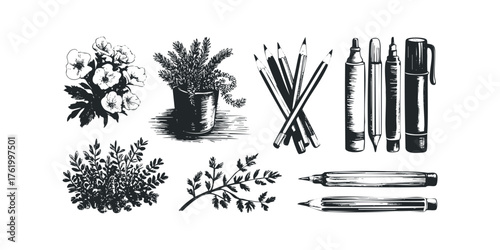 Hand drawn floral and drawing tools collection