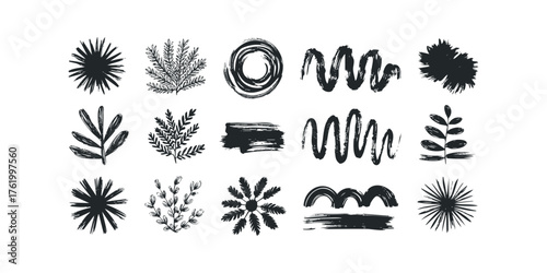 Collection of Hand Drawn Plant and Brush Stroke Graphics