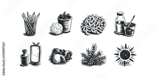 Collection of Stylized Line Drawings of Objects and Plants