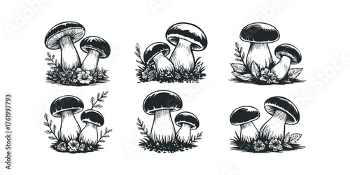 Six vintage mushroom linocut illustrations with foliage