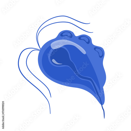 Trichomoniasis Vector Illustration. Trichomonas vaginalis structure. Urogenital infection.