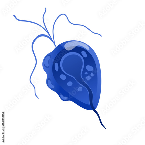 Trichomoniasis Vector Illustration. Trichomonas vaginalis structure. Urogenital infection.