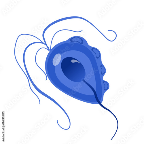 Trichomoniasis Vector Illustration. Trichomonas vaginalis structure. Urogenital infection.