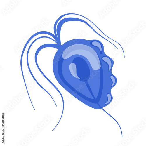 Trichomoniasis Vector Illustration. Trichomonas vaginalis structure. Urogenital infection.