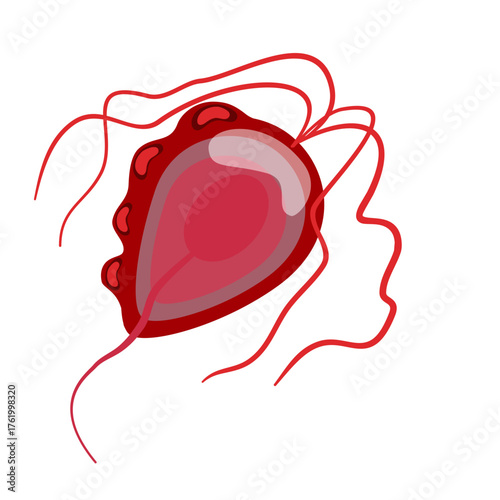 Trichomoniasis Vector Illustration. Trichomonas vaginalis structure. Urogenital infection.