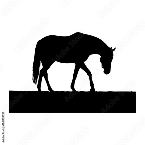 Silhouette horse walking grazing black white animal