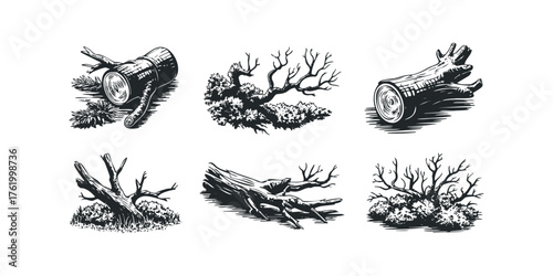 Woody plant elements and logs in a simple graphic style