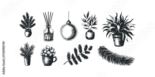 Collection of Hand Drawn Botanical Elements and Home Decor