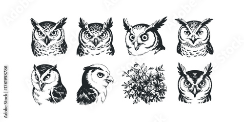 Collection of stylized owl portraits and floral arrangement
