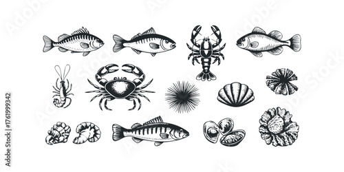 Collection of hand-drawn seafood and marine life illustrations
