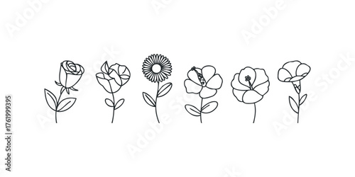 Line drawing collection of various flowers on a white background