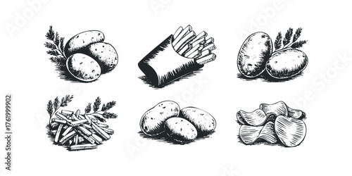 Hand Drawn Potato and Fried Potato Collection