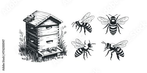 Beehive and Individual Bees Collection