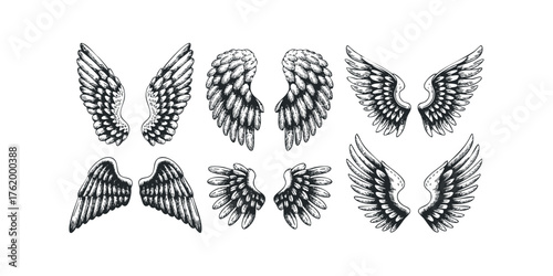 Set of Six Hand-Drawn Feathered Wing Pairs