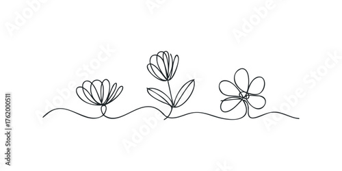 Continuous Line Drawing of Three Stylized Flowers