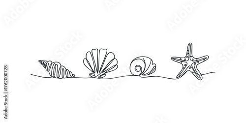 Line drawing of seashell, conch, and starfish on white