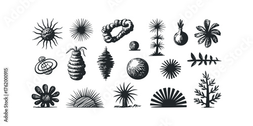 Collection of abstract organic and geometric shapes