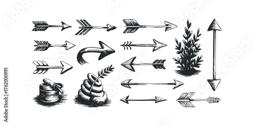 Hand Drawn Arrow Collection With Foliage and Pot Elements