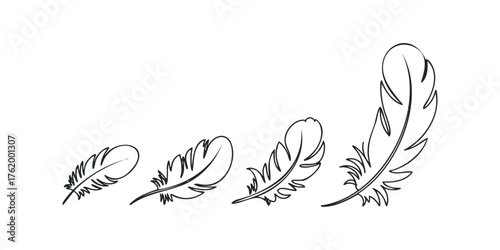 Four stylized feather outlines varying in size