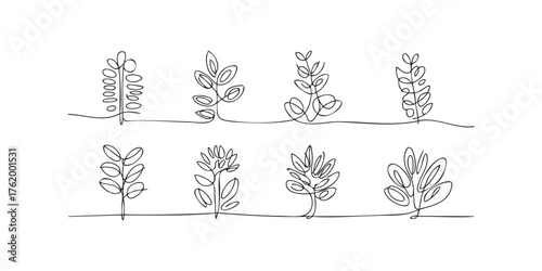 Eight Abstract Botanical Line Drawings Collection