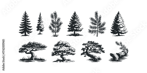 Collection of Pine Tree Silhouettes and Artistic Bonsai Forms
