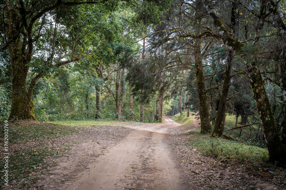 Fototapeta premium Rural dirt road through mountain forest in Chiang Dao, northern Thailand. Transportation, communication and adventure travel concept.