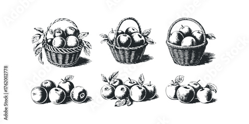 Collection of hand-drawn apple baskets and loose apples