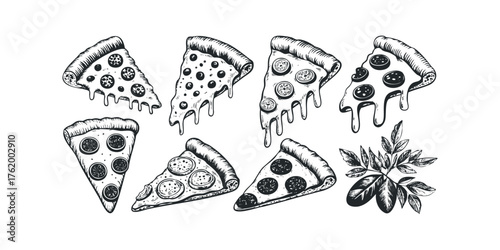 Six slices of pizza and a sprig of leaves