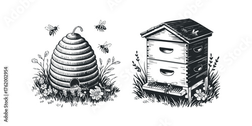 Traditional beehive and modern hive with bees flying and on landing board