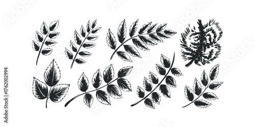 Set of hand drawn botanical leaf sprigs